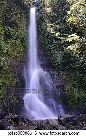 "Great Gitgit Waterfall, Central Bali, Bali, Indonesia, Asia" View Large Photo Image Stock Photograph - "Great Gitgit Waterfall, Central Bali, Bali, Indonesia, Asia". Fotosearch