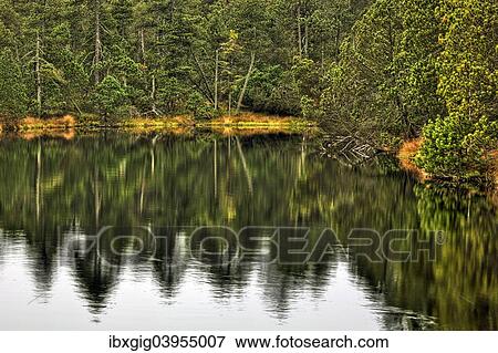 "Great Moss Lake or Velke mechove jezirko, National Nature Reserve Rejviz, Jeseniky Protected Landscape Area, Jesenik district, Olomoucky region, Czech Republic, Europe" View Large Photo Image Stock Photo - "Great Moss Lake or Velke mechove jezirko, National Nature Reserve Rejviz, Jeseniky Protected Landscape Area, Jesenik district, Olomoucky region, Czech Republic, Europe". Fotosearch