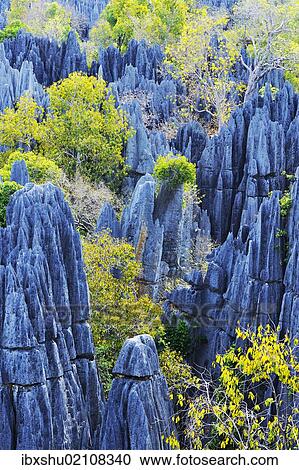 "Great Tsingy, UNESCO World Heritage Site, karst landscape with striking limestone formations, National Park Tsingy de Bemaraha, Morondava, Madagascar, Africa" View Large Photo Image Stock Image - "Great Tsingy, UNESCO World Heritage Site, karst landscape with striking limestone formations, National Park Tsingy de Bemaraha, Morondava, Madagascar, Africa". Fotosearch