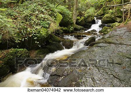"Great Ysper river, Ysperklamm gorge, Yspertal, Waldviertel, Lower Austria, Austria, Europe" View Large Photo Image Stock Image - "Great Ysper river, Ysperklamm gorge, Yspertal, Waldviertel, Lower Austria, Austria, Europe". Fotosearch