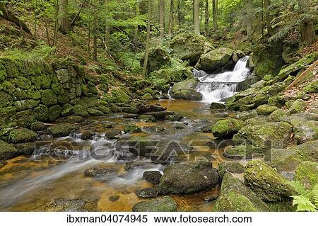 Stock Photography - "Great Ysper river, Ysperklamm gorge, Yspertal, Waldviertel, Lower Austria, Austria, Europe". Fotosearch