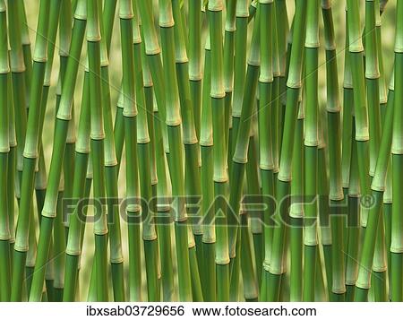 Stock Photograph - "Green bamboo, 3D illustration". Fotosearch