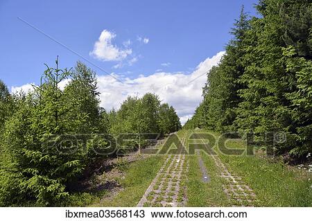 "Green Belt, former inner-German border patrol path with the overgrown """"death strip"""", Rennsteig, Lehesten, Thuringia, Germany, Europe" View Large Photo Image Stock Image - "Green Belt, former inner-German border patrol path with the overgrown """"death strip"""", Rennsteig, Lehesten, Thuringia, Germany, Europe". Fotosearch