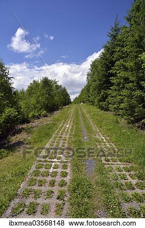 "Green Belt, former inner-German border patrol path with the overgrown """"death strip"""", Rennsteig, Lehesten, Thuringia, Germany, Europe" View Large Photo Image Stock Photo - "Green Belt, former inner-German border patrol path with the overgrown """"death strip"""", Rennsteig, Lehesten, Thuringia, Germany, Europe". Fotosearch