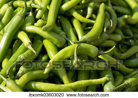 Stock Image - "Green chili, Jodhpur, Rajasthan, India, Asia". Fotosearch