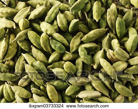 Green Elaichi cardamom pods View Large Photo Image Picture - Green Elaichi cardamom pods. Fotosearch