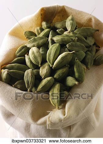 Green Elaichi cardamom pods View Large Photo Image Stock Image - Green Elaichi cardamom pods. Fotosearch