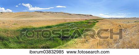 "Green fertile river bed of the Cholame Creek in the middle of the dry California hills and grasslands at the Bitter Water Road, Shandon, California, United States, North America" View Large Photo Image Stock Photography - "Green fertile river bed of the Cholame Creek in the middle of the dry California hills and grasslands at the Bitter Water Road, Shandon, California, United States, North America". Fotosearch