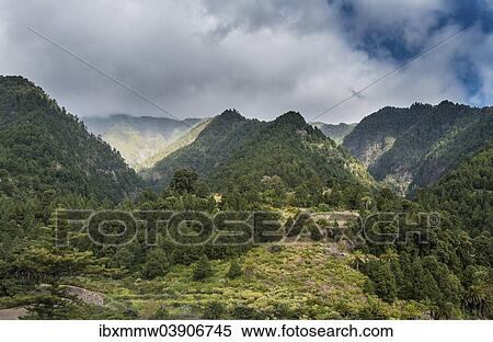 Stock Photography - "Green hills, La Palma, Canary Islands, Spain, Europe". Fotosearch