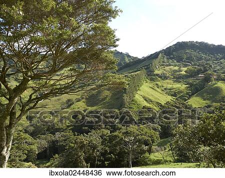 "Green mountain forest, Ricon de la Vieja National Park, Province of Guanacaste, Costa Rica, Central America, North America" View Large Photo Image Stock Photograph - "Green mountain forest, Ricon de la Vieja National Park, Province of Guanacaste, Costa Rica, Central America, North America". Fotosearch