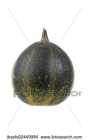 Picture - "Green ornamental gourd, smooth". Fotosearch
