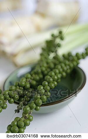 Green pepper View Large Photo Image Stock Photo - Green pepper. Fotosearch