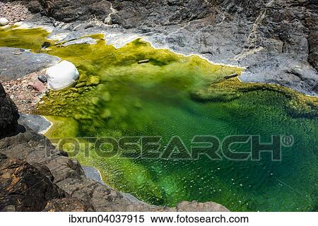"Green pond in a valley at the Dixsam plateau, Socotra, Yemen, Asia" View Large Photo Image Stock Photography - "Green pond in a valley at the Dixsam plateau, Socotra, Yemen, Asia". Fotosearch