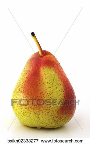 Green-red pear View Large Photo Image Stock Photo - Green-red pear. Fotosearch