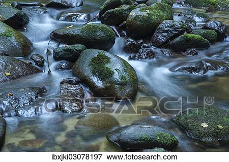 "Grobbach creek near Geroldsauer Wasserfall waterfall, Schwarzwald, Baden-Baden, Baden-Wurttemberg, Germany, Europe" View Large Photo Image Stock Photo - "Grobbach creek near Geroldsauer Wasserfall waterfall, Schwarzwald, Baden-Baden, Baden-Wurttemberg, Germany, Europe". Fotosearch