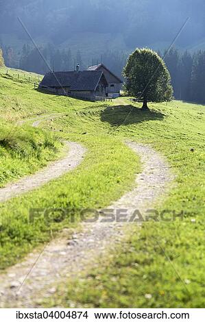 "Gross Euchst Alm, Kronberg, Alpstein, Appenzell, Switzerland, Europe" View Large Photo Image Picture - "Gross Euchst Alm, Kronberg, Alpstein, Appenzell, Switzerland, Europe". Fotosearch