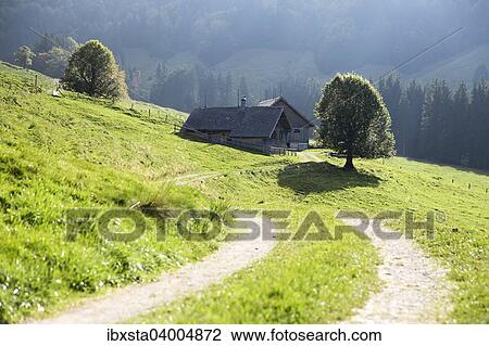 "Gross Euchst Alm, Kronberg, Alpstein, Appenzell, Switzerland, Europe" View Large Photo Image Stock Image - "Gross Euchst Alm, Kronberg, Alpstein, Appenzell, Switzerland, Europe". Fotosearch
