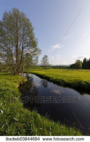 "Grosse Ohe river in the Klosterfilz, Sankt Oswald-Riedlhutte, near Riedelhutte, Bavarian Forest National Park, Lower Bavaria, Bavaria, Germany, Europe" View Large Photo Image Picture - "Grosse Ohe river in the Klosterfilz, Sankt Oswald-Riedlhutte, near Riedelhutte, Bavarian Forest National Park, Lower Bavaria, Bavaria, Germany, Europe". Fotosearch