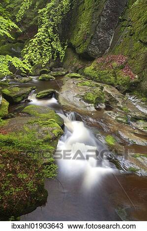 "Grosse Ohe river, Steinklamm gorge, Spiegelau, Bavarian Forest, Bavaria, Germany, Europe" View Large Photo Image Stock Image - "Grosse Ohe river, Steinklamm gorge, Spiegelau, Bavarian Forest, Bavaria, Germany, Europe". Fotosearch