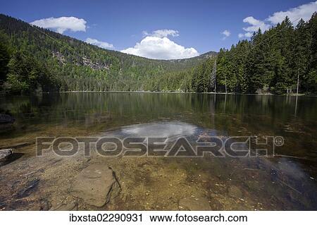 "Grosser Arbersee Lake with reflections, Bavarian Forest, Bavaria, Germany, Europe" View Large Photo Image Stock Image - "Grosser Arbersee Lake with reflections, Bavarian Forest, Bavaria, Germany, Europe". Fotosearch