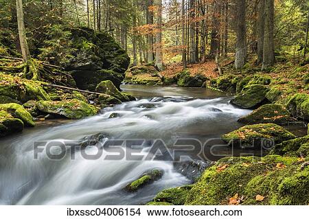 Picture - "Grosser Regen river, autumn, Bavarian Forest National Park, Bavaria, Germany, Europe". Fotosearch