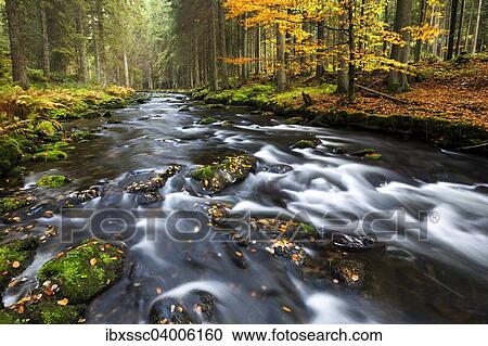 "Grosser Regen river, autumn, Bavarian Forest National Park, Bavaria, Germany, Europe" View Large Photo Image Stock Image - "Grosser Regen river, autumn, Bavarian Forest National Park, Bavaria, Germany, Europe". Fotosearch