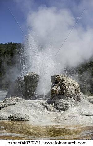 "Grotto Geyser, Yellowstone National Park, Wyoming, United States, North America" View Large Photo Image Stock Image - "Grotto Geyser, Yellowstone National Park, Wyoming, United States, North America". Fotosearch