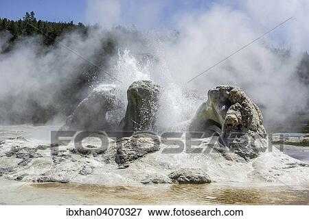 "Grotto Geyser, Yellowstone National Park, Wyoming, United States, North America" View Large Photo Image Stock Photo - "Grotto Geyser, Yellowstone National Park, Wyoming, United States, North America". Fotosearch