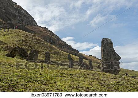 "Group of Moai, the bodies are buried in the ground, only the heads are visible, Rano Raraku, Easter Island, Chile, South America" View Large Photo Image Stock Image - "Group of Moai, the bodies are buried in the ground, only the heads are visible, Rano Raraku, Easter Island, Chile, South America". Fotosearch