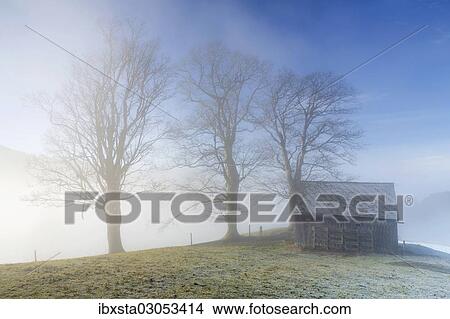 "Group of trees and a hut with high fog, Trogen, Appenzell, Switzerland, Europe" View Large Photo Image Picture - "Group of trees and a hut with high fog, Trogen, Appenzell, Switzerland, Europe". Fotosearch