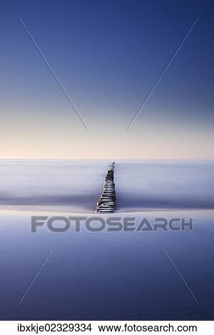 "Groyne in the Baltic Sea, Darss, Fischland, Mecklenburg-Western Pomerania, Germany, Europe" View Large Photo Image Picture - "Groyne in the Baltic Sea, Darss, Fischland, Mecklenburg-Western Pomerania, Germany, Europe". Fotosearch