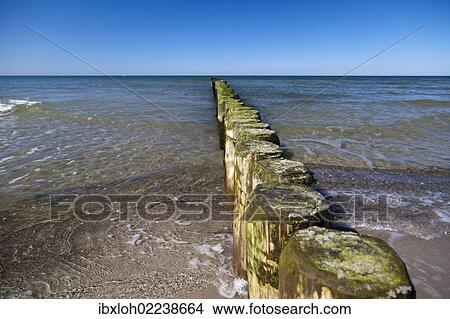 "Groynes on Darsser Weststrand beach, Darss, Mecklenburg-Western Pomerania, Germany, Europe" View Large Photo Image Picture - "Groynes on Darsser Weststrand beach, Darss, Mecklenburg-Western Pomerania, Germany, Europe". Fotosearch