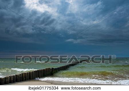 "Groynes on the beach, Darss, Ahrenshop, Mecklenburg-Western Pomerania, Germany, Europe" View Large Photo Image Picture - "Groynes on the beach, Darss, Ahrenshop, Mecklenburg-Western Pomerania, Germany, Europe". Fotosearch