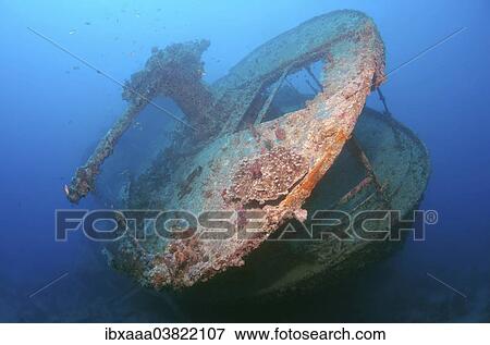 "Gun on the stern of the SS Thistlegorm shipwreck, Red Sea, Egypt, Africa" View Large Photo Image Stock Photo - "Gun on the stern of the SS Thistlegorm shipwreck, Red Sea, Egypt, Africa". Fotosearch