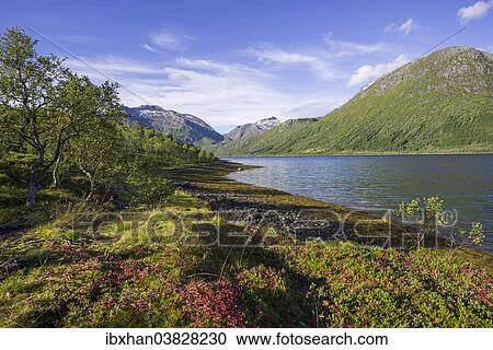 "Gunnesfjord, Troms, Norway, Europe" View Large Photo Image Stock Image - "Gunnesfjord, Troms, Norway, Europe". Fotosearch