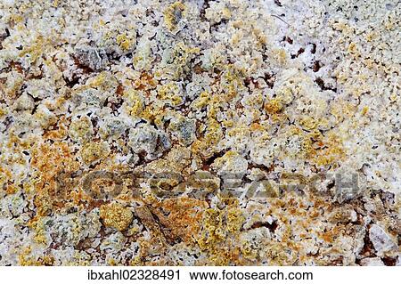 Stock Image - "Gunnuvher geothermal area, Reykjanes Peninsula, South Iceland, iceland, Europe". Fotosearch