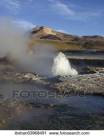 "Gusher in the evening light, Tatio Geysers, San Pedro de Atacama, Antofagasta Region, Chile, South America" View Large Photo Image Stock Image - "Gusher in the evening light, Tatio Geysers, San Pedro de Atacama, Antofagasta Region, Chile, South America". Fotosearch