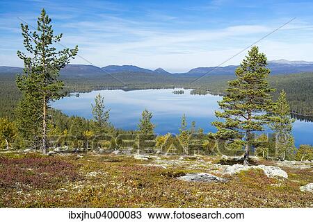 Stock Image - "Gutulisjoen, Gutuli Lake, Gutulia National Park, Engerdal, Hedmark, Norway, Europe". Fotosearch
