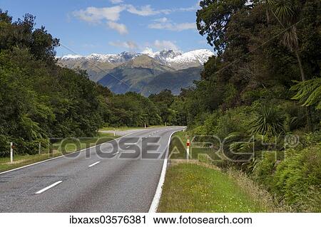 Stock Image - "Haast Highway with views of the Southern Alps and Mount Macfarlane, 2057m, Haast, West Coast Region, New Zealand, Oceania". Fotosearch