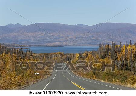 Stock Image - "Haines Road towards Haines Pass, Alaska, Dezadeash Lake behind, Indian Summer, leaves in fall colours, autumn, St. Elias Mountains behind, Kluane National Park and Reserve, Yukon Territory, Canada, North America". Fotosearch