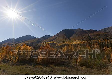"Haines Road towards Haines Pass, Alaska, Indian Summer, fall, autumn, St. Elias Mountains behind, Kluane National Park and Reserve, Yukon Territory, Canada, North America" View Large Photo Image Stock Image - "Haines Road towards Haines Pass, Alaska, Indian Summer, fall, autumn, St. Elias Mountains behind, Kluane National Park and Reserve, Yukon Territory, Canada, North America". Fotosearch