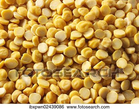 "Half the chickpeas, chana dal or dhal" View Large Photo Image Stock Photograph - "Half the chickpeas, chana dal or dhal". Fotosearch