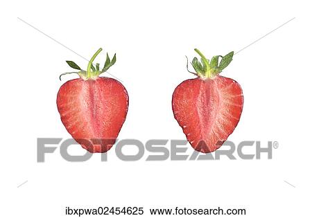 Halved Strawberry (Fragaria) View Large Photo Image Stock Photography - Halved Strawberry (Fragaria). Fotosearch