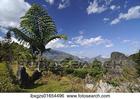 Stock Photograph - "Ham Rong Mountain, Dragon Jaw Mountain, Sapa, Vietnam, Asia". Fotosearch