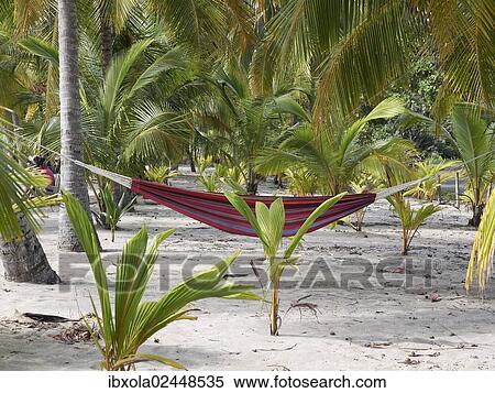 "Hammock under the palm trees, Playa Carryllo, Nicoya Peninsula, Costa Rica, Central America, North America" View Large Photo Image Stock Photography - "Hammock under the palm trees, Playa Carryllo, Nicoya Peninsula, Costa Rica, Central America, North America". Fotosearch