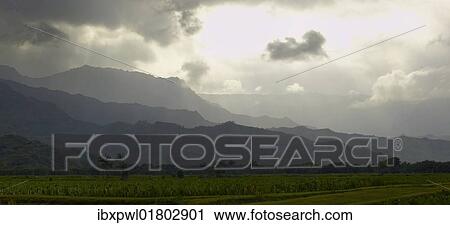 "Hanalei Valley, Hanalei, Kauai, Hawaii, USA" View Large Photo Image Stock Image - "Hanalei Valley, Hanalei, Kauai, Hawaii, USA". Fotosearch