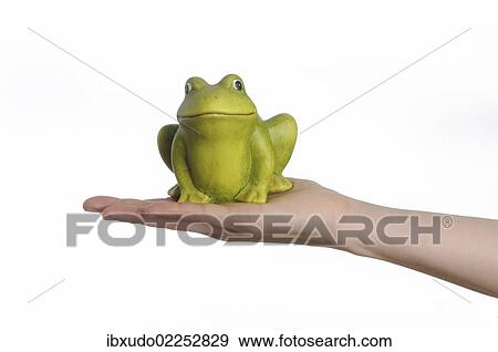 Hand holding an artificial frog View Large Photo Image Stock Photo - Hand holding an artificial frog. Fotosearch