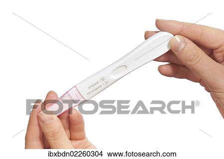 Hands of a woman holding pregnancy test View Large Photo Image Picture - Hands of a woman holding pregnancy test. Fotosearch