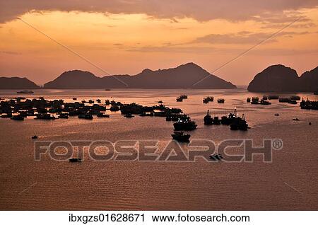 "Harbour of Cat Ba, Halong Bay, Vietnam, Southeast Asia, Asia" View Large Photo Image Stock Image - "Harbour of Cat Ba, Halong Bay, Vietnam, Southeast Asia, Asia". Fotosearch