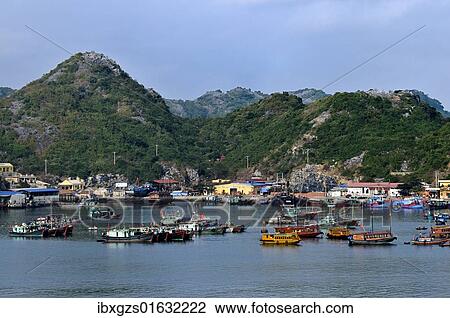 "Harbour of Cat Ba, Halong Bay, Vietnam, Southeast Asia, Asia" View Large Photo Image Stock Image - "Harbour of Cat Ba, Halong Bay, Vietnam, Southeast Asia, Asia". Fotosearch